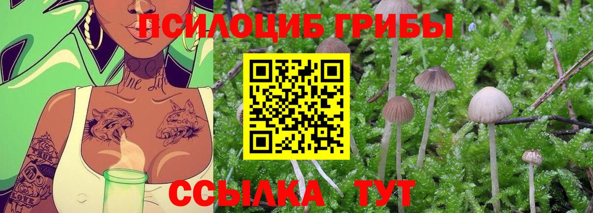 Улан-Удэ  Псилоцибиновые грибы Cubensis  Галлюциногенные грибы GOLDEN TEACHER  Вход с VPN 